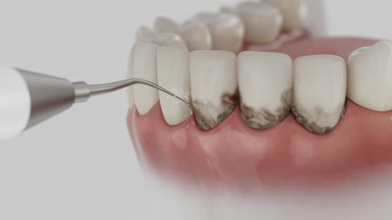 Reliable Dental contractor in Parsons, WV by Dentist Open Now